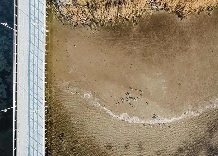 Miedzymorze Blueapart * Jurata